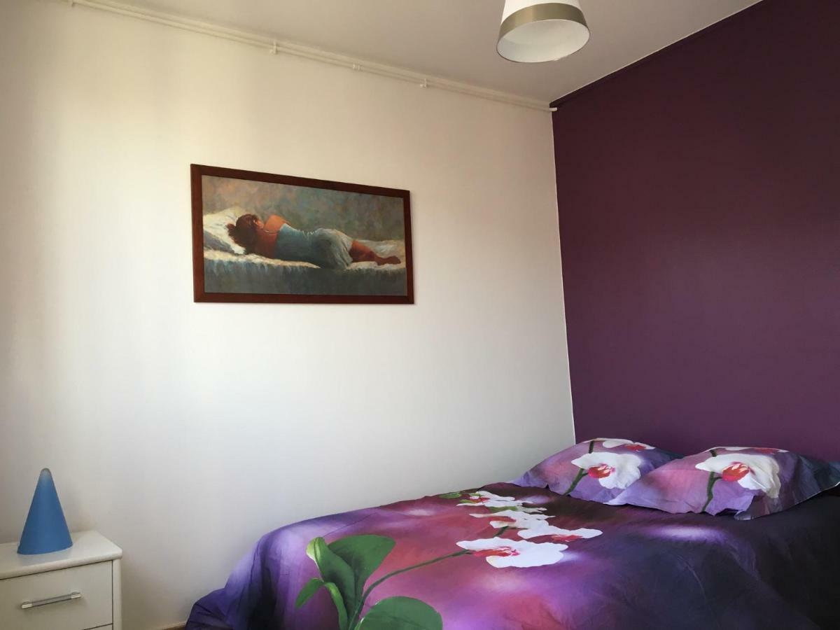 Appartement Deux Chambres Salon Parking Rouen Kindarena Ngoại thất bức ảnh